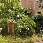De Gamme - 45m2 Refait A Neuf En Juin 2024 Avec Tres Grande Piscine Chauffee *