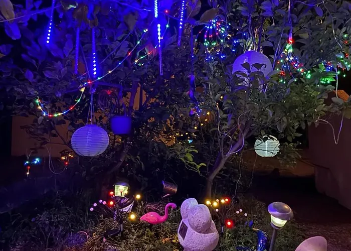 De Gamme - 45m2 Refait A Neuf En Juin 2024 Avec Tres Grande Piscine Chauffee Apartment *